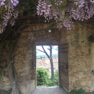 Meet your Posher, Duncan